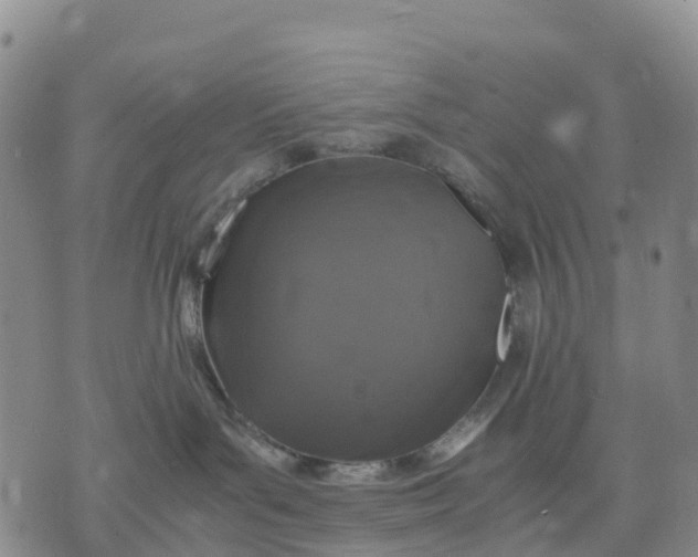 X0000071860143200607141824