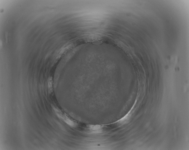 X0000071860144200607141824