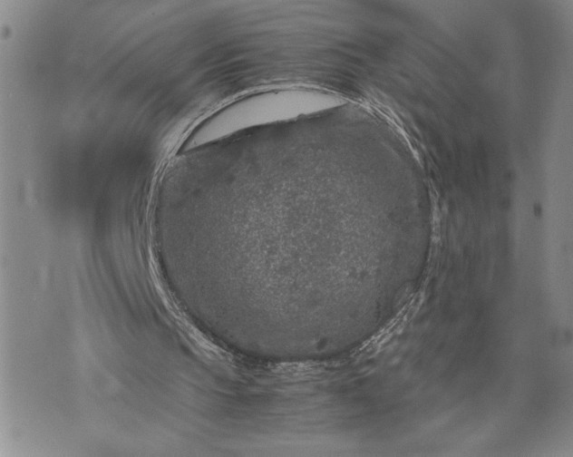 X0000071860145200607141824