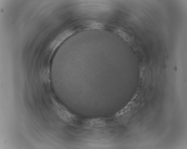 X0000071860146200607141824