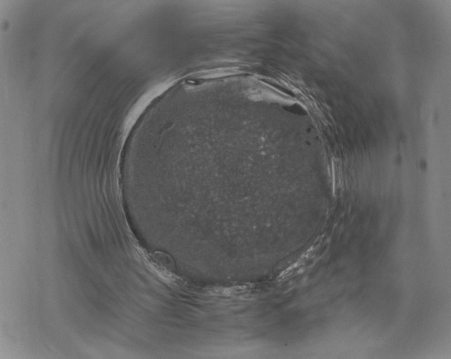 X0000071860147200607141824