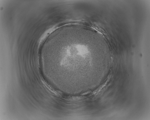 X0000071860149200607141824