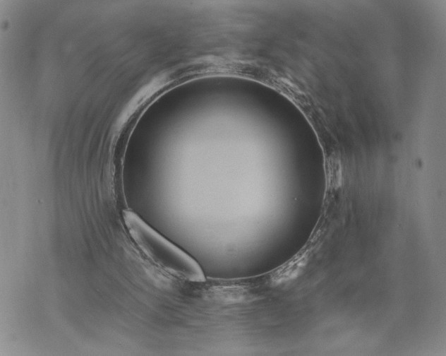 X0000071860150200607141824