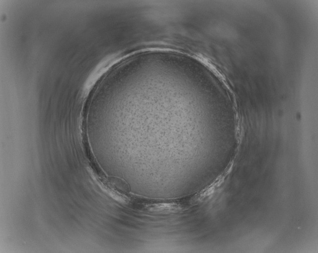 X0000071860151200607141824