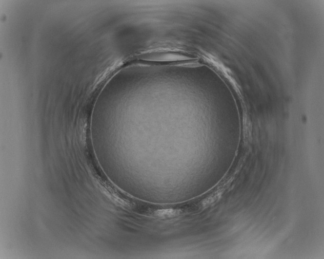 X0000071860153200607141824