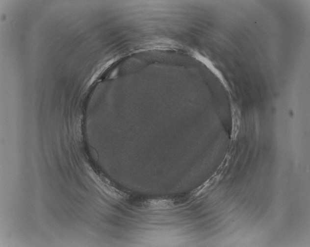 X0000071860154200607141824