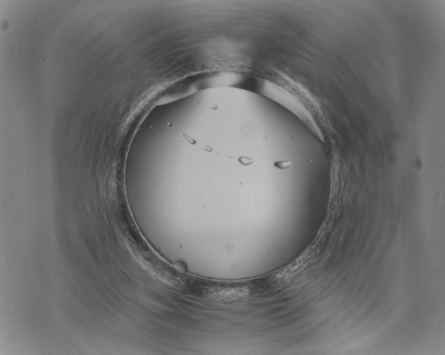 X0000071860155200607141824