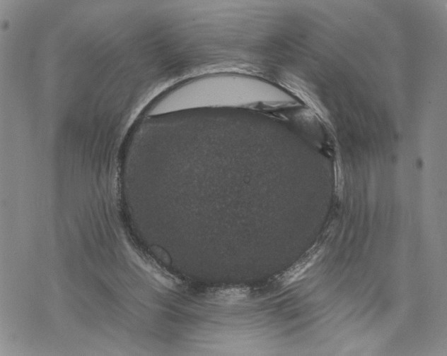 X0000071860156200607141824