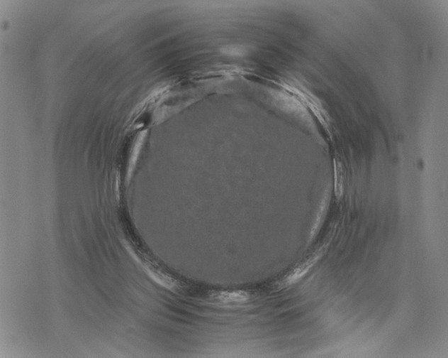 X0000071860157200607141824