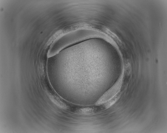 X0000071860158200607141824