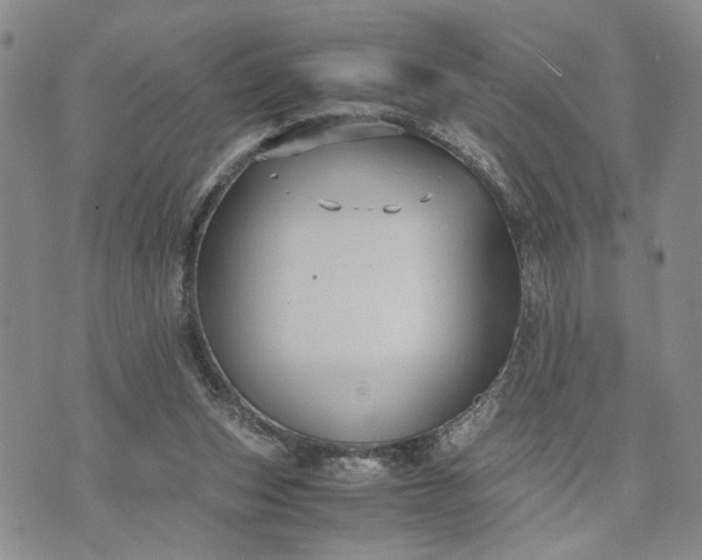 X0000071860159200607141824