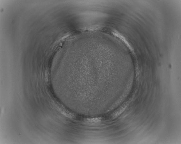 X0000071860161200607141824