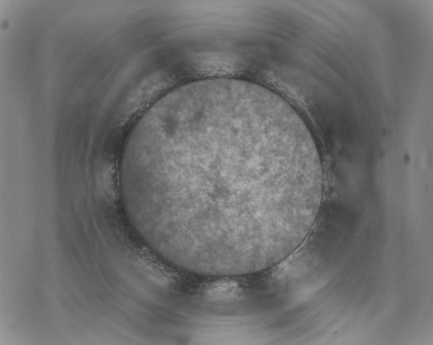 X0000071860162200607141824