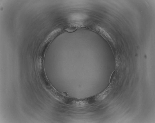 X0000071860163200607141824