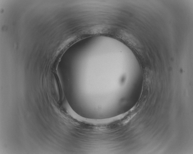 X0000071860164200607141824