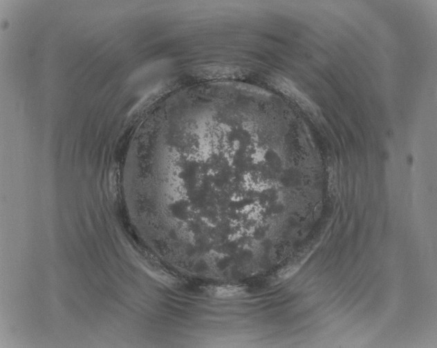 X0000071860165200607141824