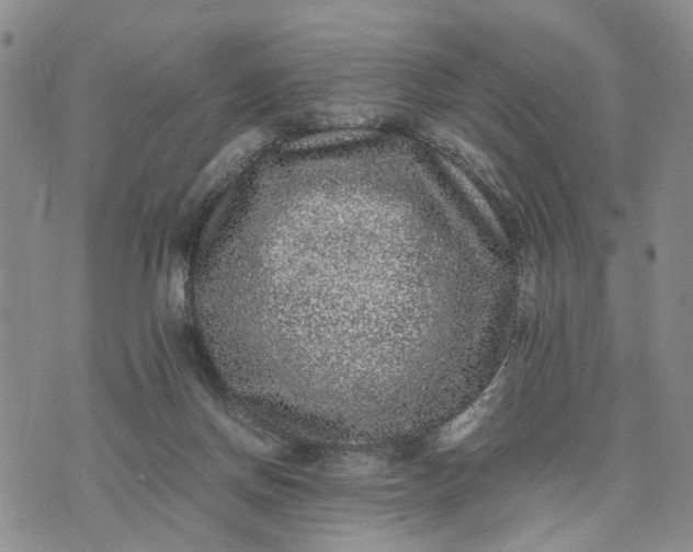 X0000071860166200607141824