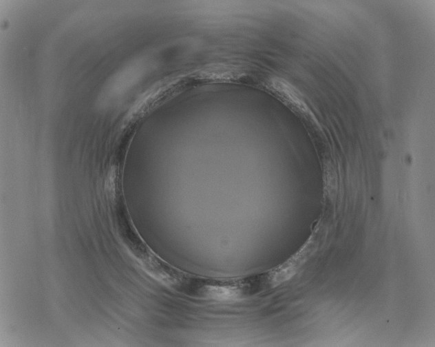 X0000071860167200607141824