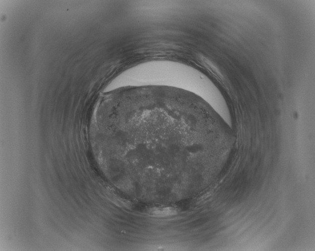 X0000071860169200607141824