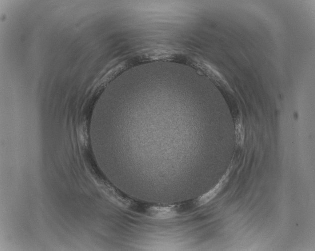 X0000071860170200607141824