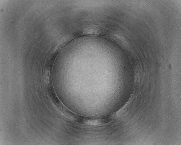 X0000071860171200607141824