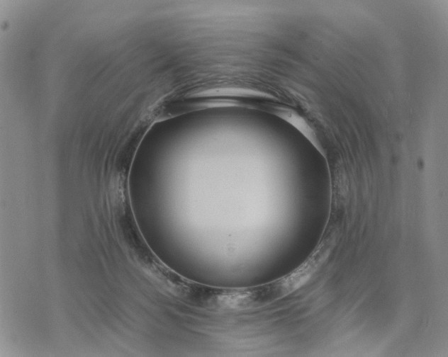 X0000071860172200607141824