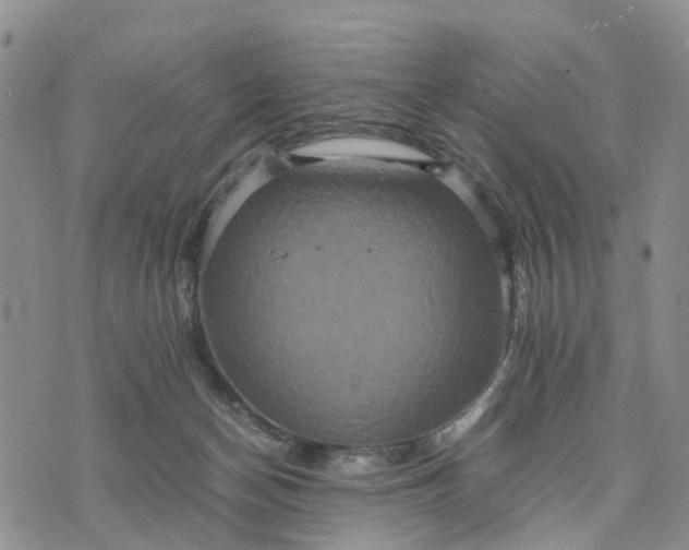 X0000071860174200607141824