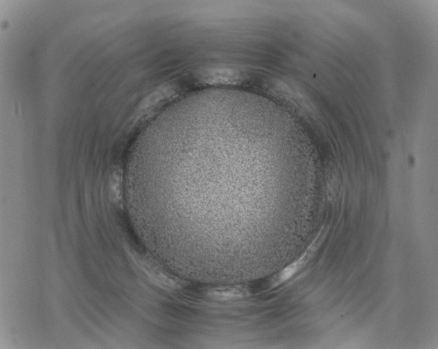 X0000071860175200607141824