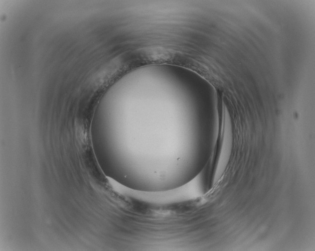 X0000071860176200607141824