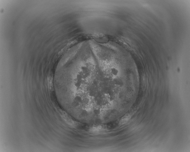 X0000071860177200607141824