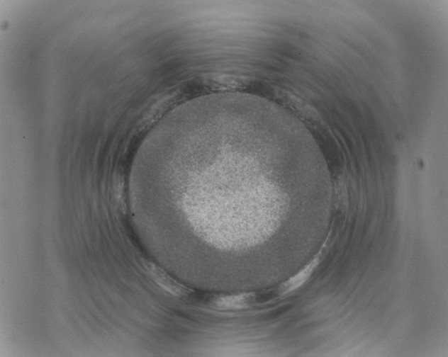 X0000071860178200607141824