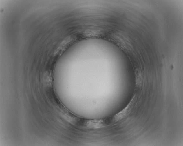 X0000071860179200607141824