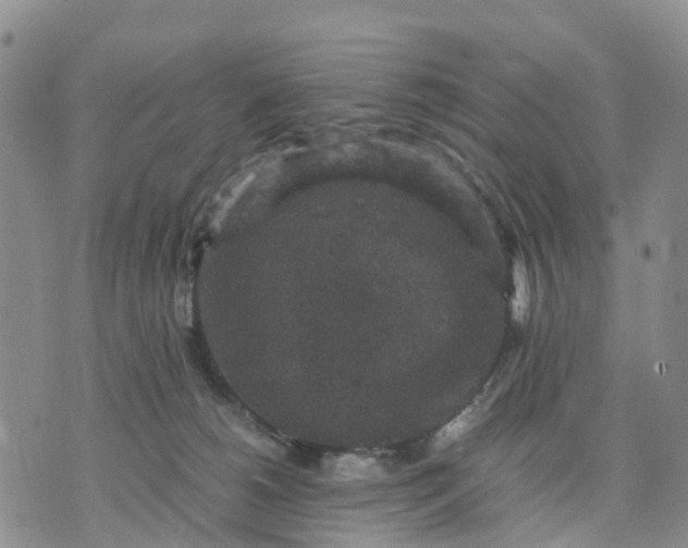 X0000071860180200607141824