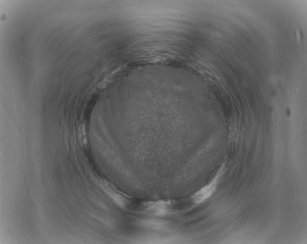 X0000071860182200607141824