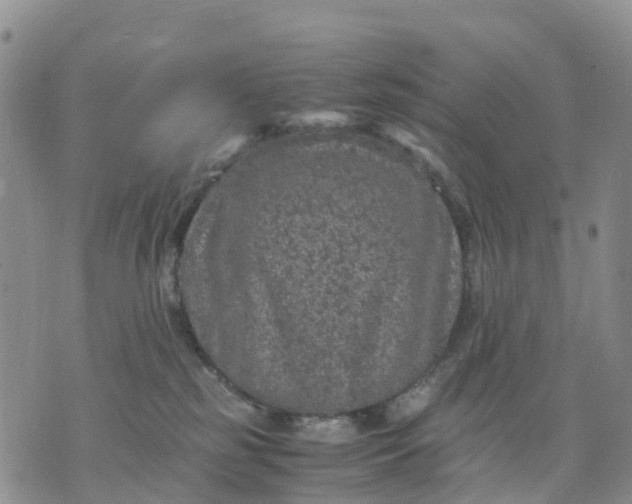 X0000071860185200607141824