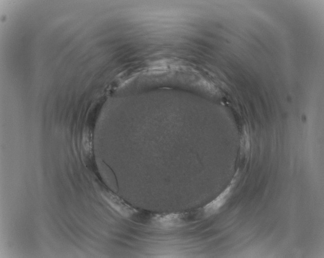 X0000071860186200607141824