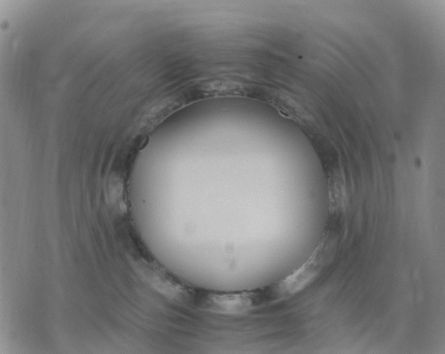 X0000071860187200607141824