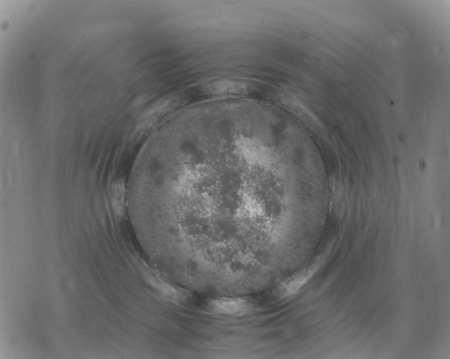 X0000071860189200607141824