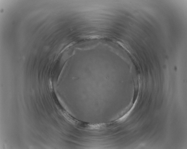 X0000071860190200607141824