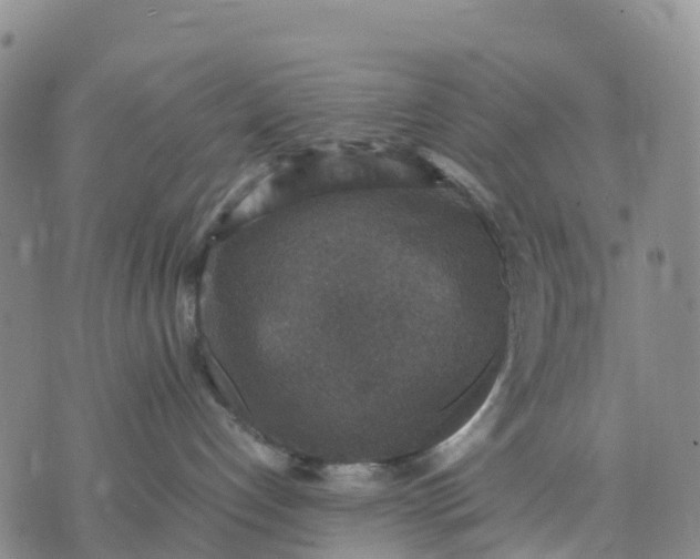 X0000071860192200607141824