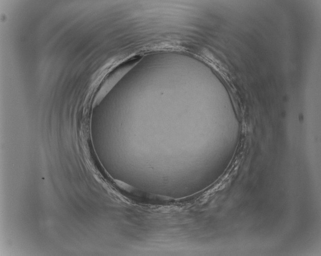 X0000071860193200607141824