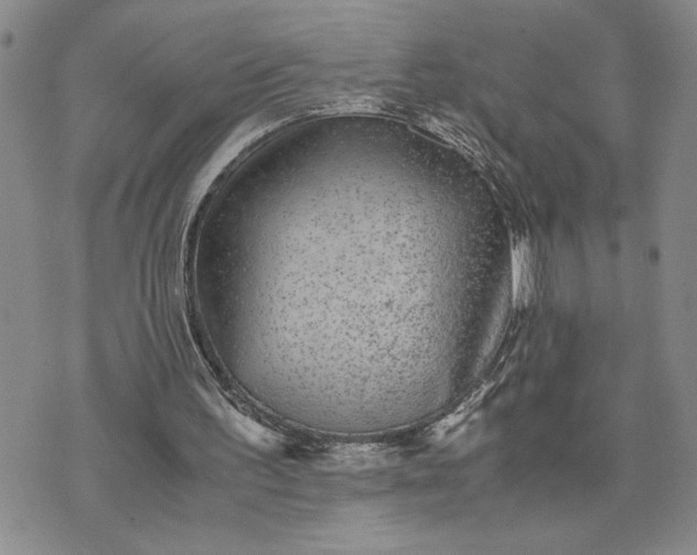 X0000071860195200607141824