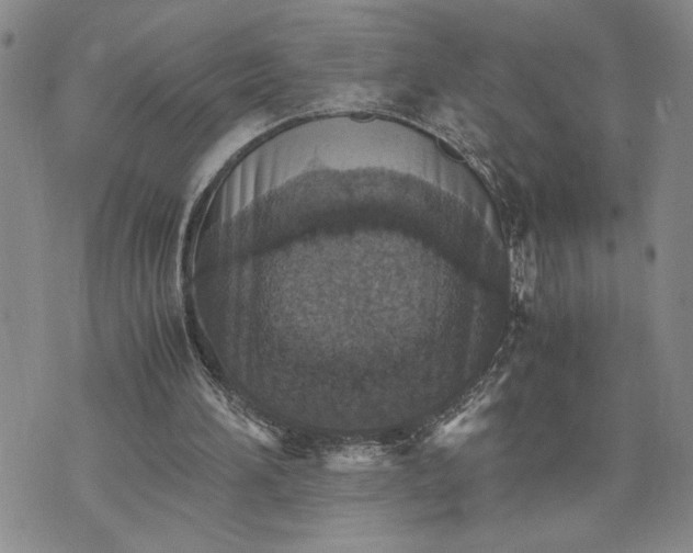 X0000071860196200607141824