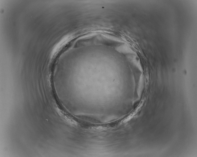 X0000071860197200607141824