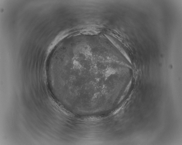 X0000071860198200607141824