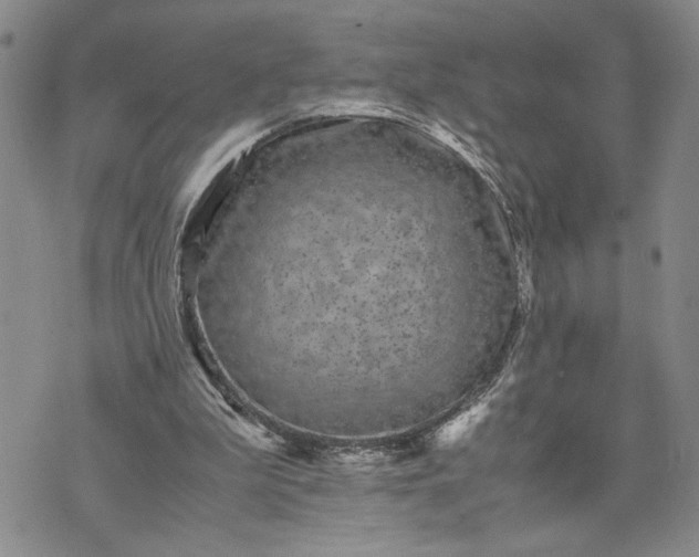 X0000071860199200607141824