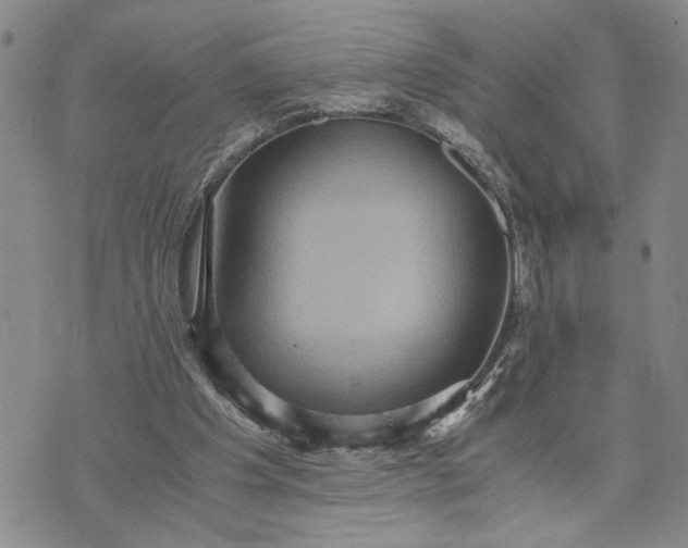 X0000071860201200607141823