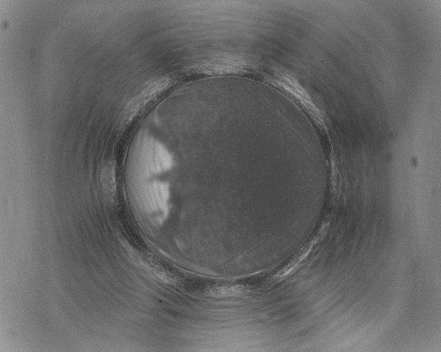 X0000071860202200607141823