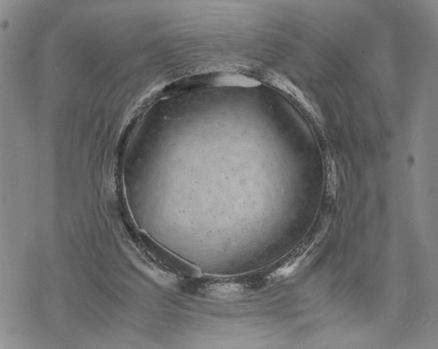 X0000071860203200607141823