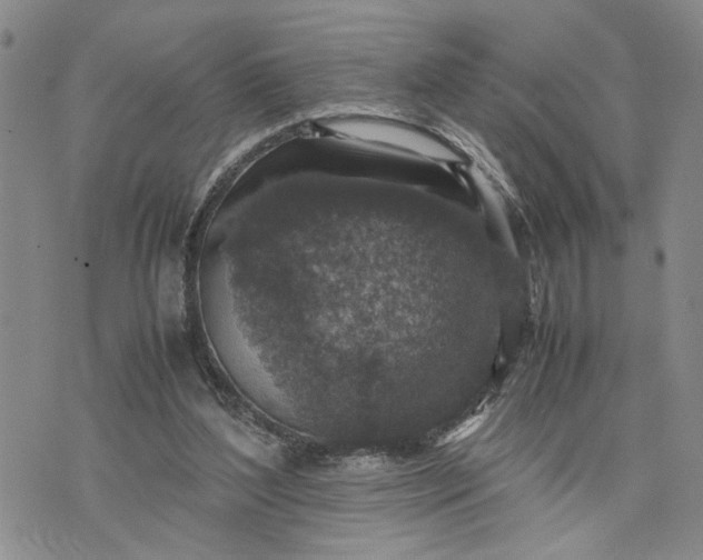 X0000071860204200607141823